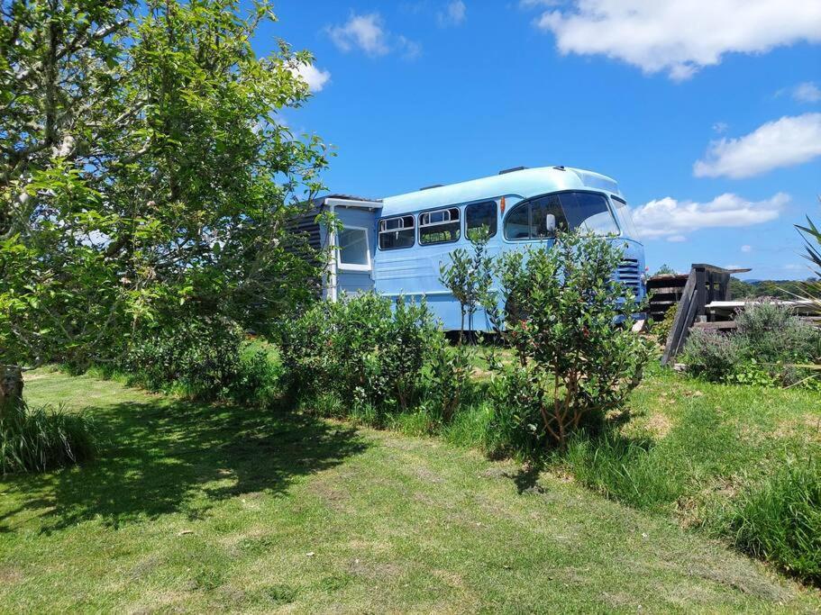 Evi The School Bus At Oromahoe Downs Farm Puketona Kültér fotó