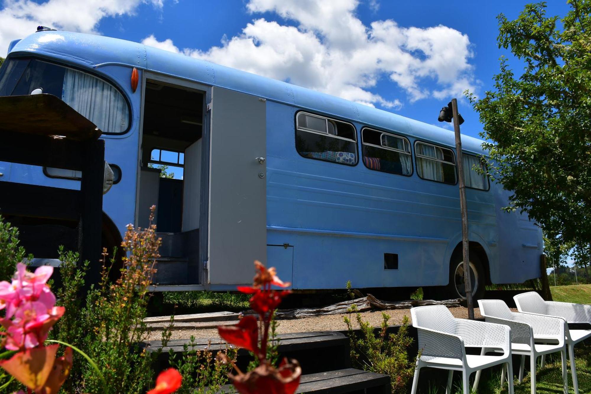 Evi The School Bus At Oromahoe Downs Farm Puketona Kültér fotó